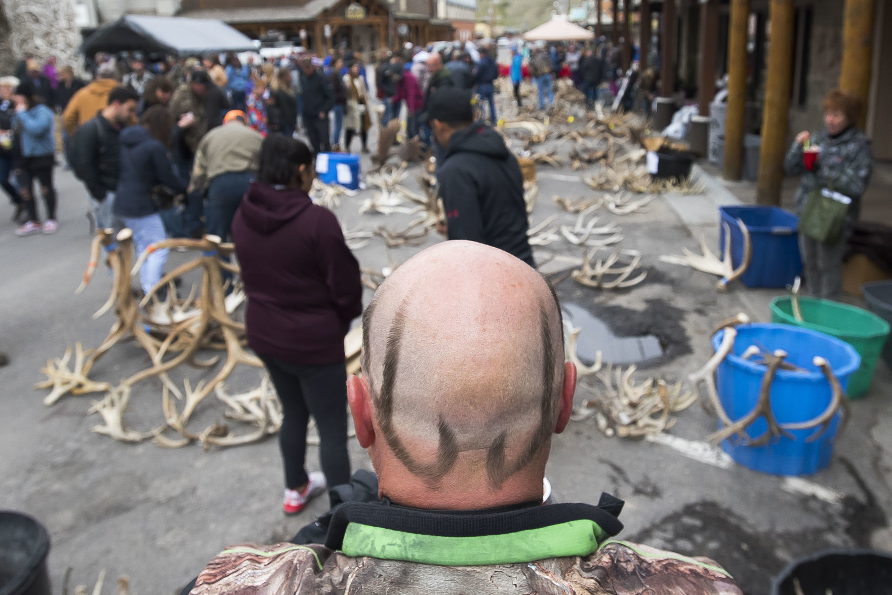 ElkFest